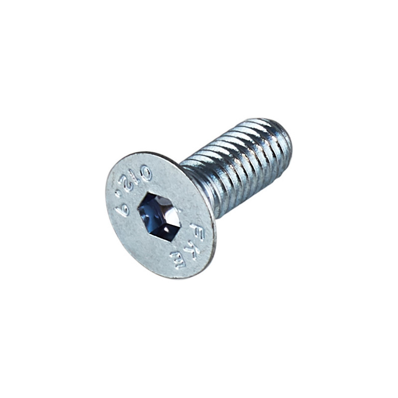 Apex Brake Screw