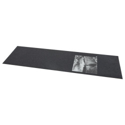 Trust Gorge griptape