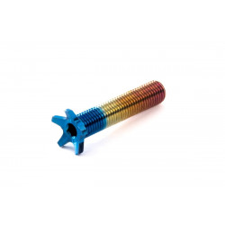 Ethic titanium compression screws